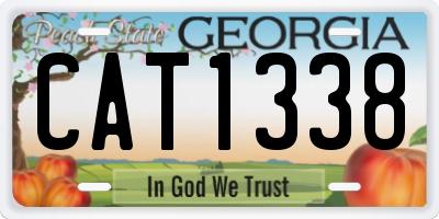 GA license plate CAT1338