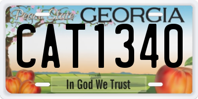 GA license plate CAT1340