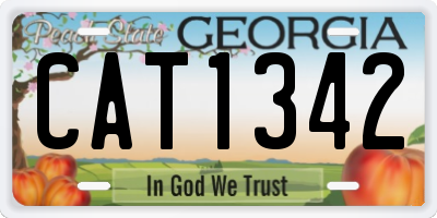 GA license plate CAT1342