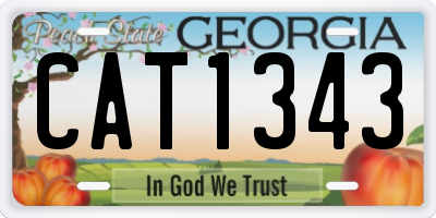 GA license plate CAT1343