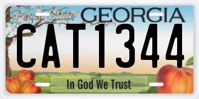 GA license plate CAT1344