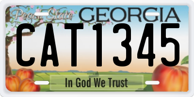 GA license plate CAT1345