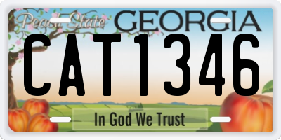GA license plate CAT1346