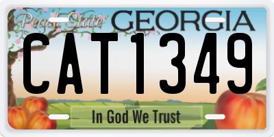 GA license plate CAT1349