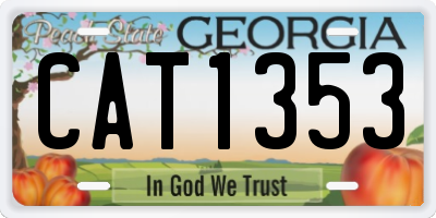 GA license plate CAT1353