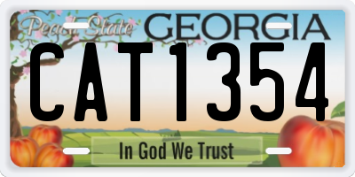GA license plate CAT1354