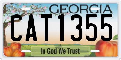 GA license plate CAT1355