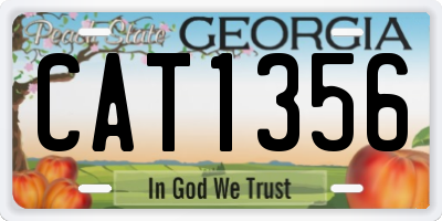 GA license plate CAT1356