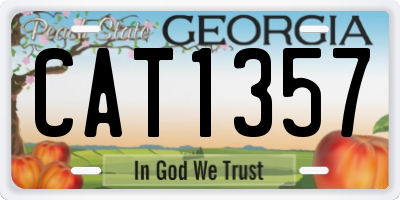 GA license plate CAT1357