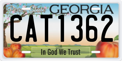 GA license plate CAT1362
