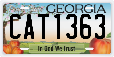 GA license plate CAT1363