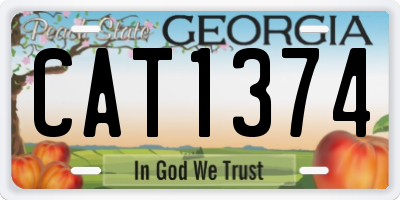GA license plate CAT1374