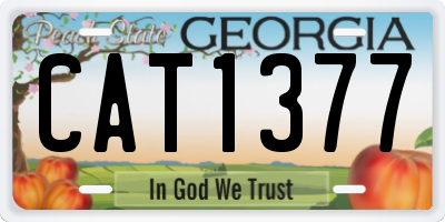 GA license plate CAT1377