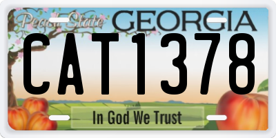 GA license plate CAT1378