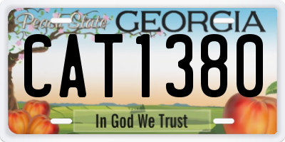 GA license plate CAT1380