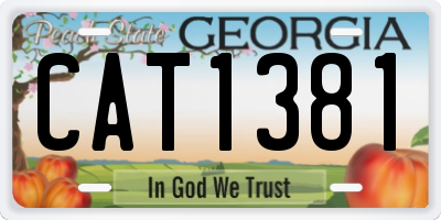 GA license plate CAT1381