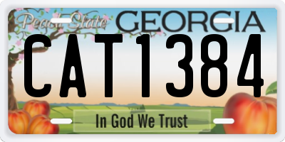 GA license plate CAT1384