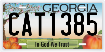GA license plate CAT1385