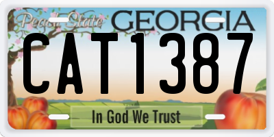 GA license plate CAT1387