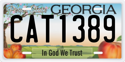 GA license plate CAT1389