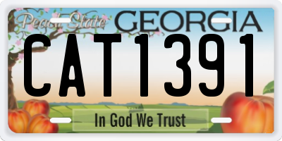 GA license plate CAT1391