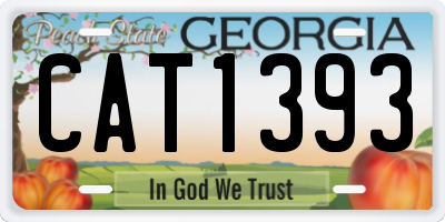 GA license plate CAT1393