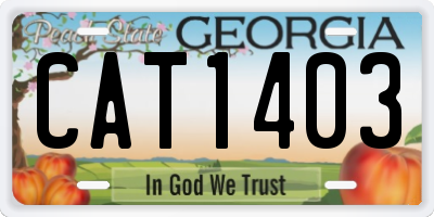 GA license plate CAT1403