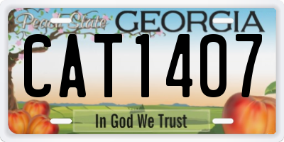 GA license plate CAT1407