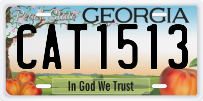 GA license plate CAT1513
