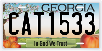 GA license plate CAT1533