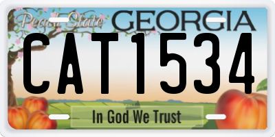 GA license plate CAT1534