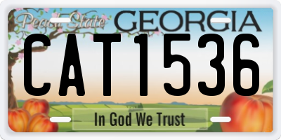 GA license plate CAT1536