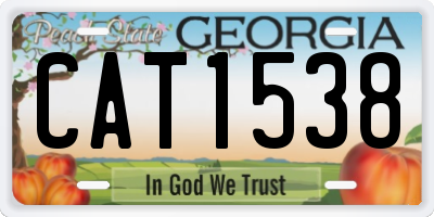 GA license plate CAT1538