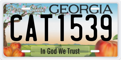 GA license plate CAT1539