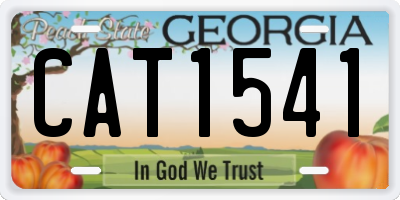 GA license plate CAT1541