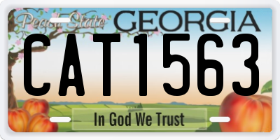 GA license plate CAT1563