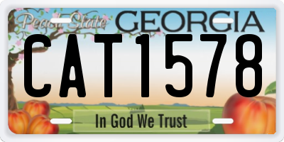 GA license plate CAT1578