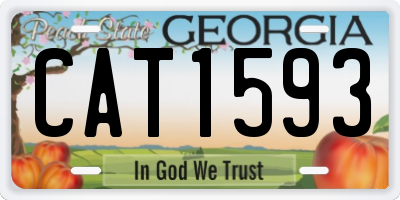 GA license plate CAT1593