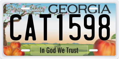 GA license plate CAT1598