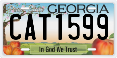 GA license plate CAT1599