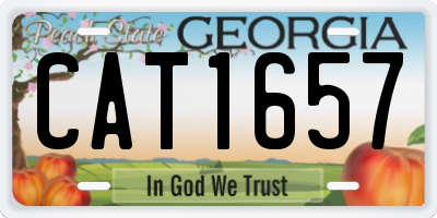 GA license plate CAT1657