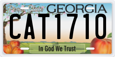 GA license plate CAT1710