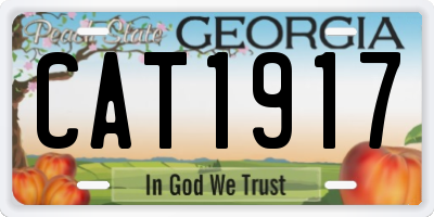 GA license plate CAT1917