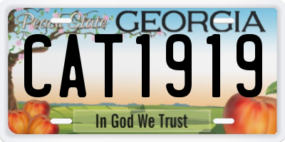 GA license plate CAT1919