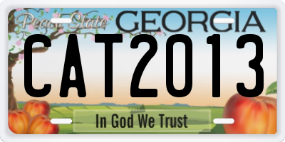 GA license plate CAT2013
