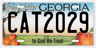 GA license plate CAT2029