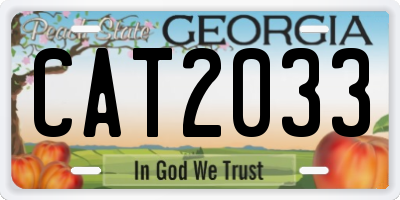 GA license plate CAT2033