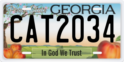 GA license plate CAT2034
