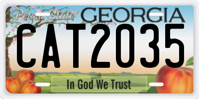 GA license plate CAT2035