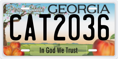 GA license plate CAT2036